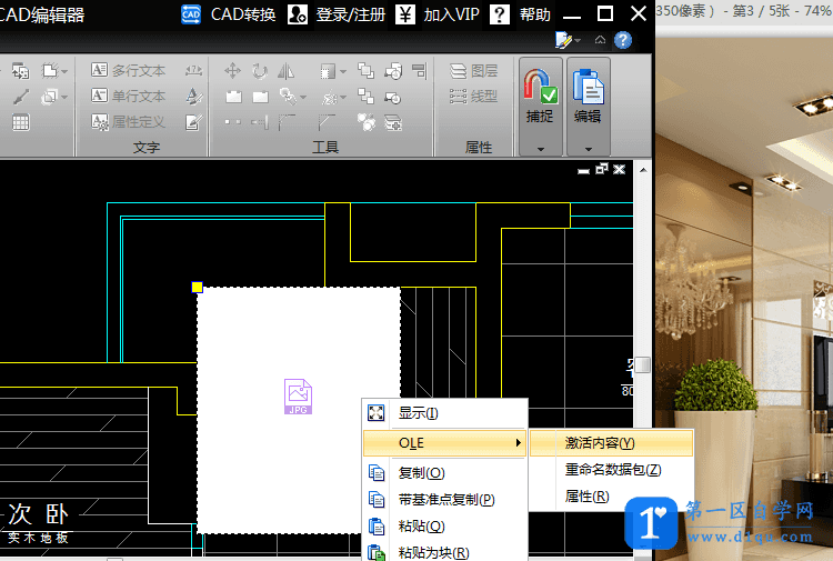 如何在CAD中插入OLE对象？-5