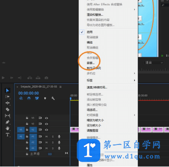 premiere软件怎么取消嵌套？pr取消嵌套的操作方法-2