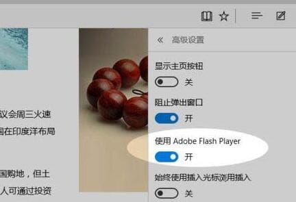 WIN10系统edge浏览器禁止flansh加载的方法-5