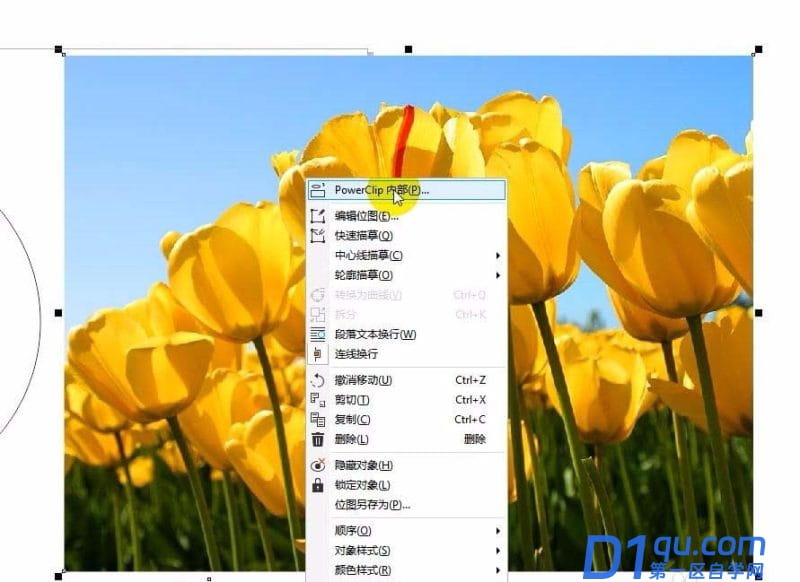 cdrX8中PowerClip怎么使用? PowerClip功能的三种使用方法-11