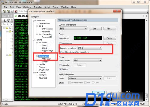 securecrt中文乱码解决以及使用教程-7